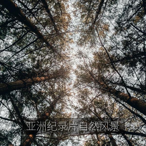 亚洲纪录片自然风景